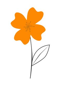 Botanical drawings, Draw and Google