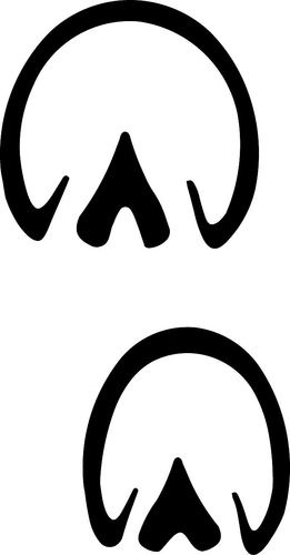 Cow Hooves Clipart