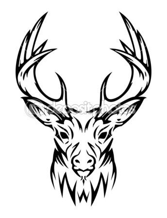 Deer Skull Drawing | Deer Skull ...