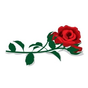 Single Red Rose Clipart
