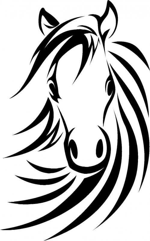 Horse head wall sticker by WallStickers-