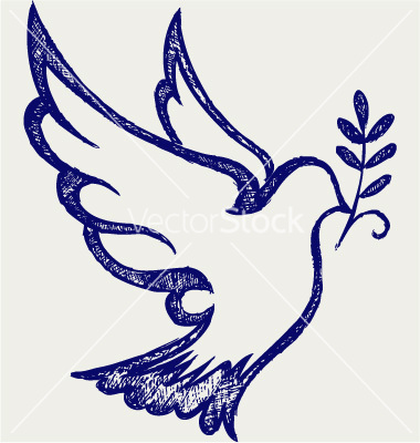 1000+ images about dove†ail