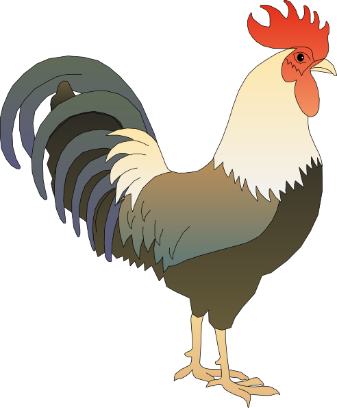 Rooster Outline Clip Art - InspiriToo.