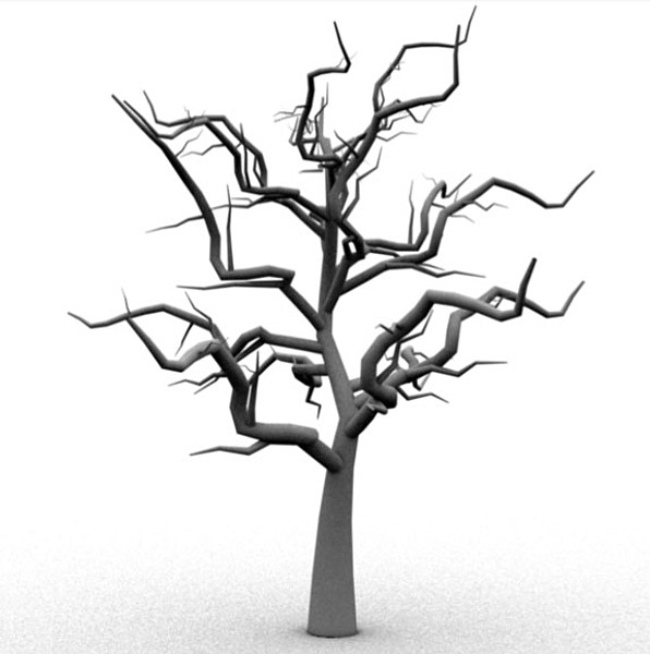 Scary Tree Pictures