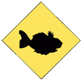 Little Fish Theatre : Theatre Philadelphia