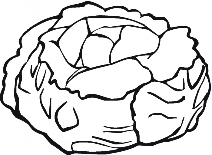 Lettuce 5 coloring page | Super Coloring