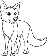 Search Results - Search Results for coyote Pictures - Graphics ...