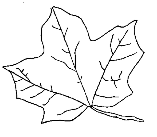 Fall Leaf Coloring Pages - School Projects Car Trip Activity