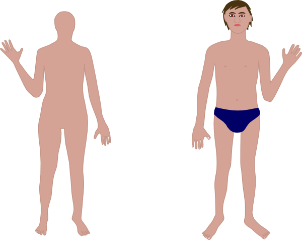 Human Body clip art - vector clip art online, royalty free ...