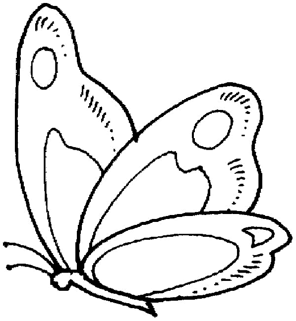Free butterfly coloring pages | coloring pages hello kitty ...