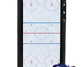 rink