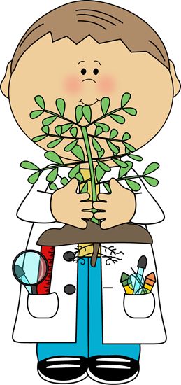 1000+ images about Plants in action | Lorax ...