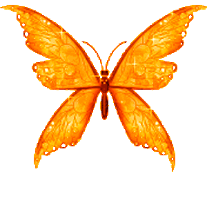 ButterflyDelicateSparkleOrange gif by alongway99 | Photobucket