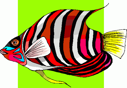 angel_fish_2 clipart - angel_fish_2 clip art