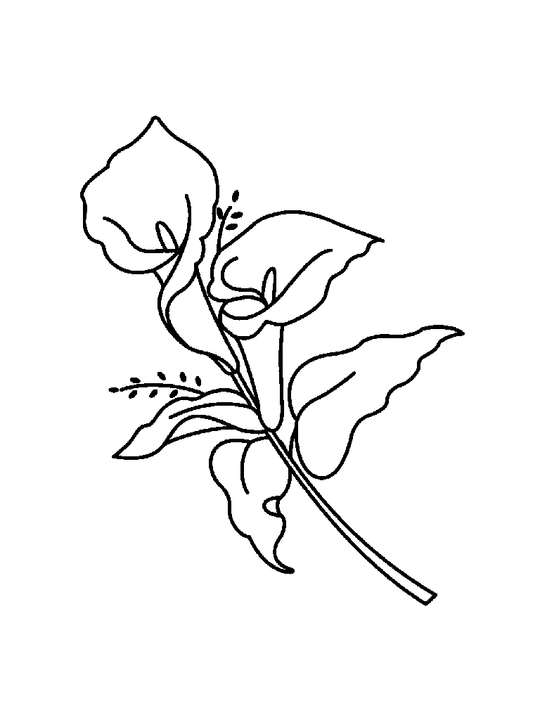 The Old Educator's Easter Lily Coloring Page