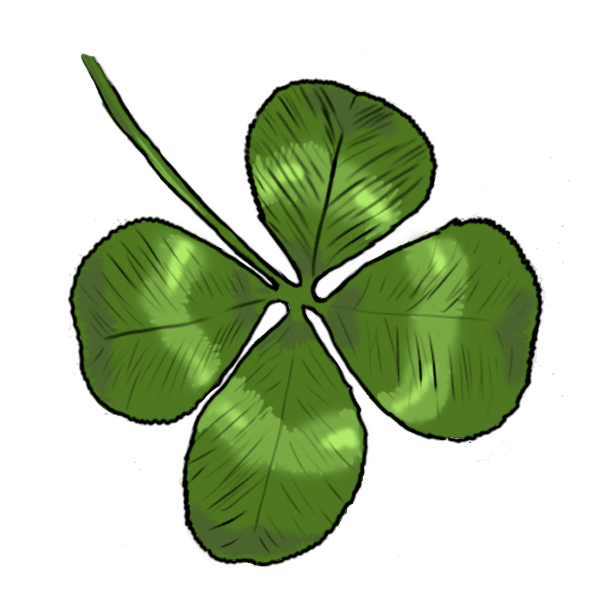 Instructions on how to draw flowers and plants