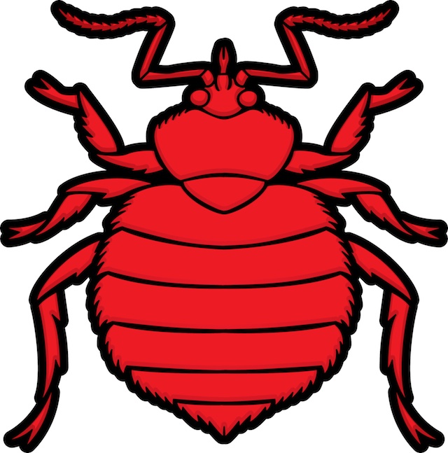 We are trying to build the most comprehensive online database of bed bug pictures. If you have original bed bug photos we would love to buy them from you to add to