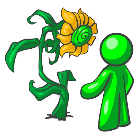 Microsoft Cares Evergreen Project – Back breaking fun :) - Willy's ...