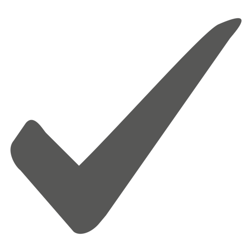 Check flat icon - Transparent PNG/SVG