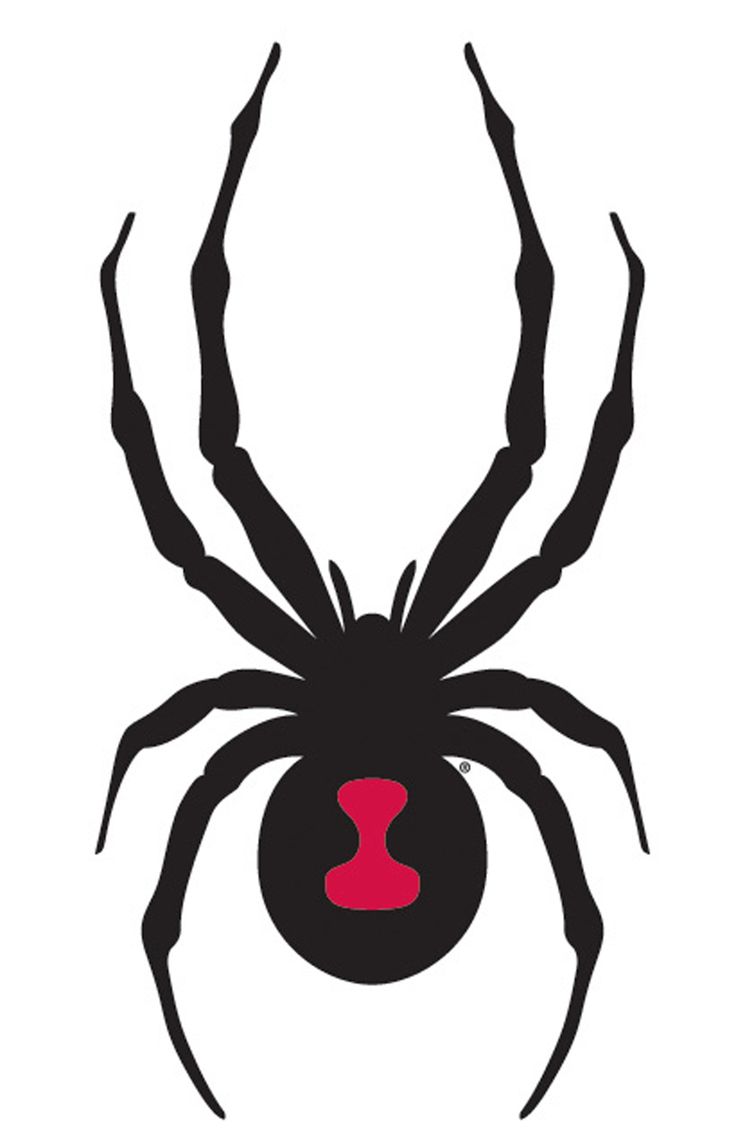 1000+ images about Embroidery Spiders