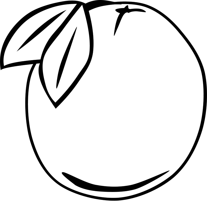 Guava Fruit Coloring Page | Free Coloring Pages For Kids