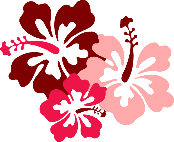 Hibiscus Vector Free Download - ClipArt Best