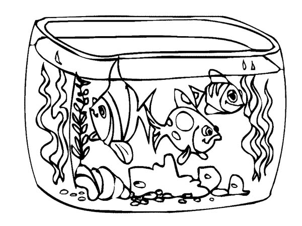 How to Draw Fish Tank Coloring Page - NetArt - ClipArt Best - ClipArt Best