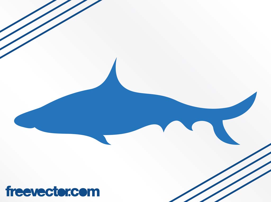 Shark Vector | Free Download Clip Art | Free Clip Art | on Clipart ...