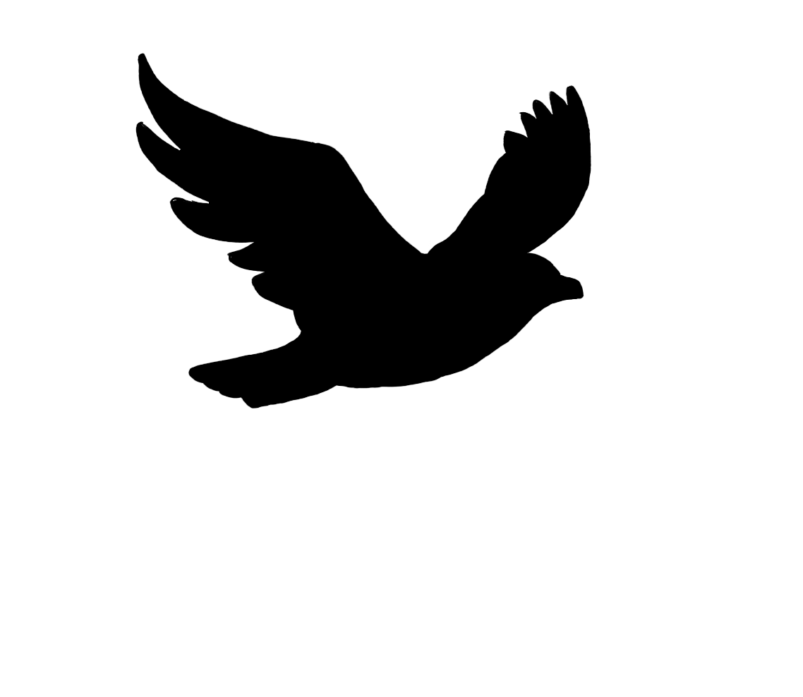 Bird flying silhouette clipart