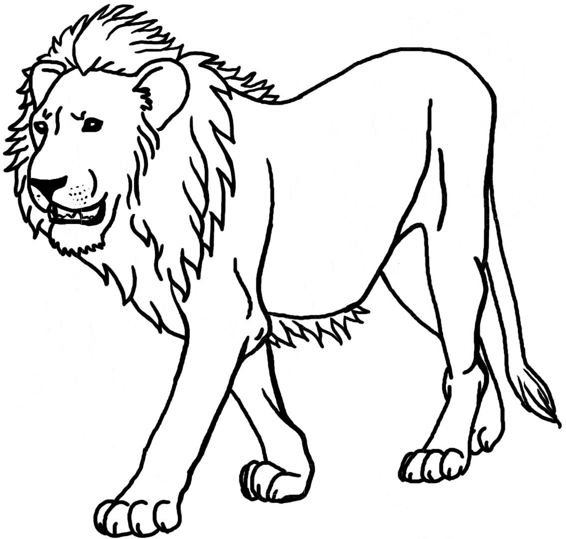 how to draw a lion king lion lion king lions step 13 in Coloring ...
