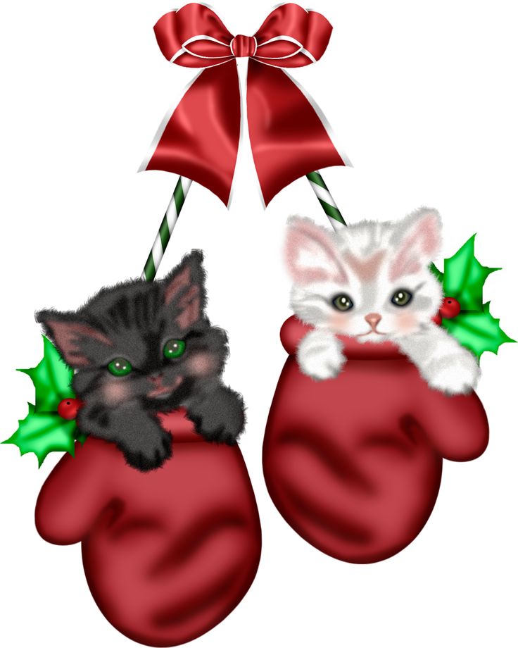 1000+ images about Christmas Pets | Cats, Vintage ...