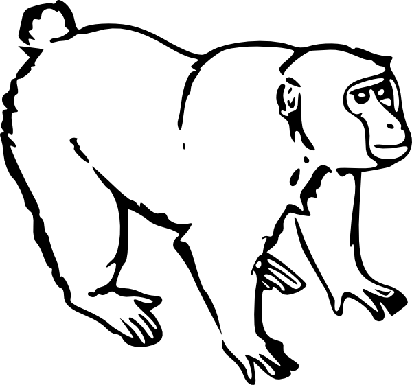 Best Monkey Outline #16603 - Clipartion.com