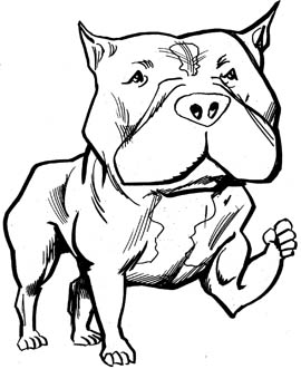 Pit Bull Clip Art - Tumundografico