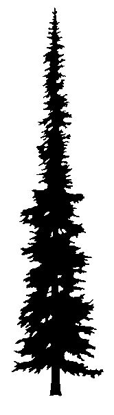 Pine Tree Silhouette | Tree Tattoos ...