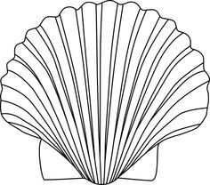 Coloring, Sea shells and Clip art
