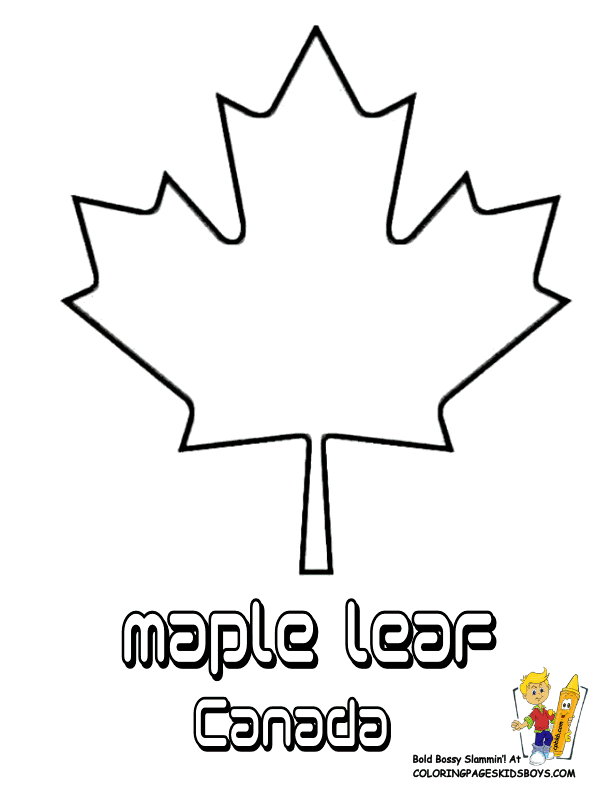 Maple Leaf Template Printable. 1000 images about leaf templates on ...