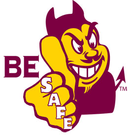Safety Logo