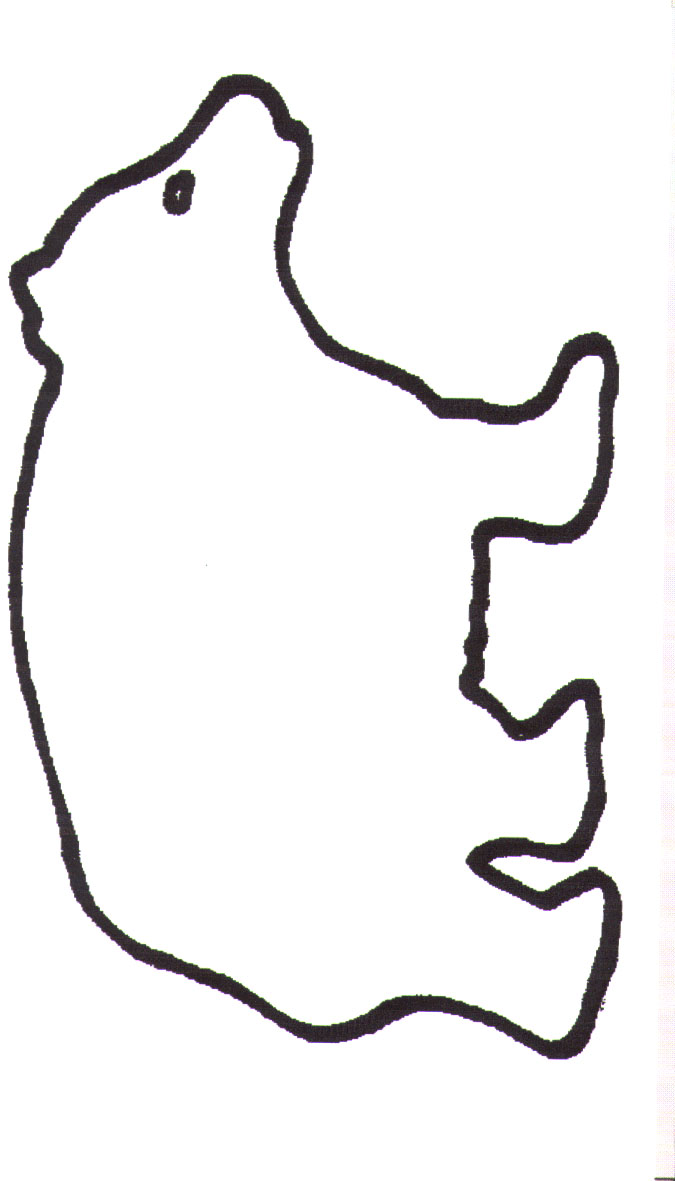 Bear Template