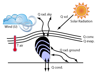 Forcing Data for Models of Intertidal Organism Temperature