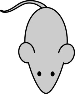lab-mouse-template-md.png
