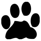 Team Stencil Designs LLC @ Amazon.