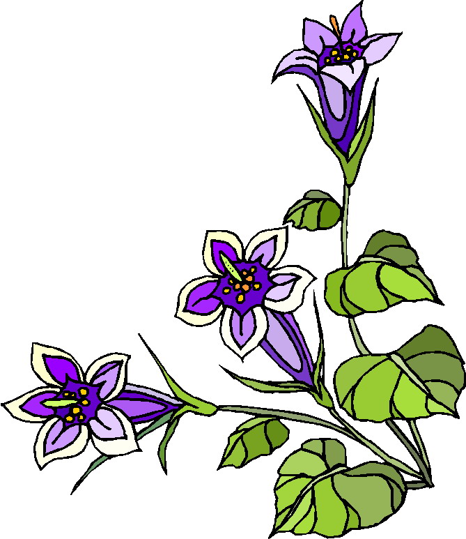 Clip Art - Clip art plants 685601