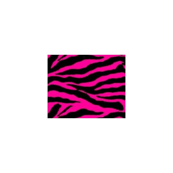 Free Zebra Print Backgrounds for Your Graphic Design Projects