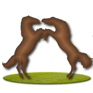 Horse Racing News
