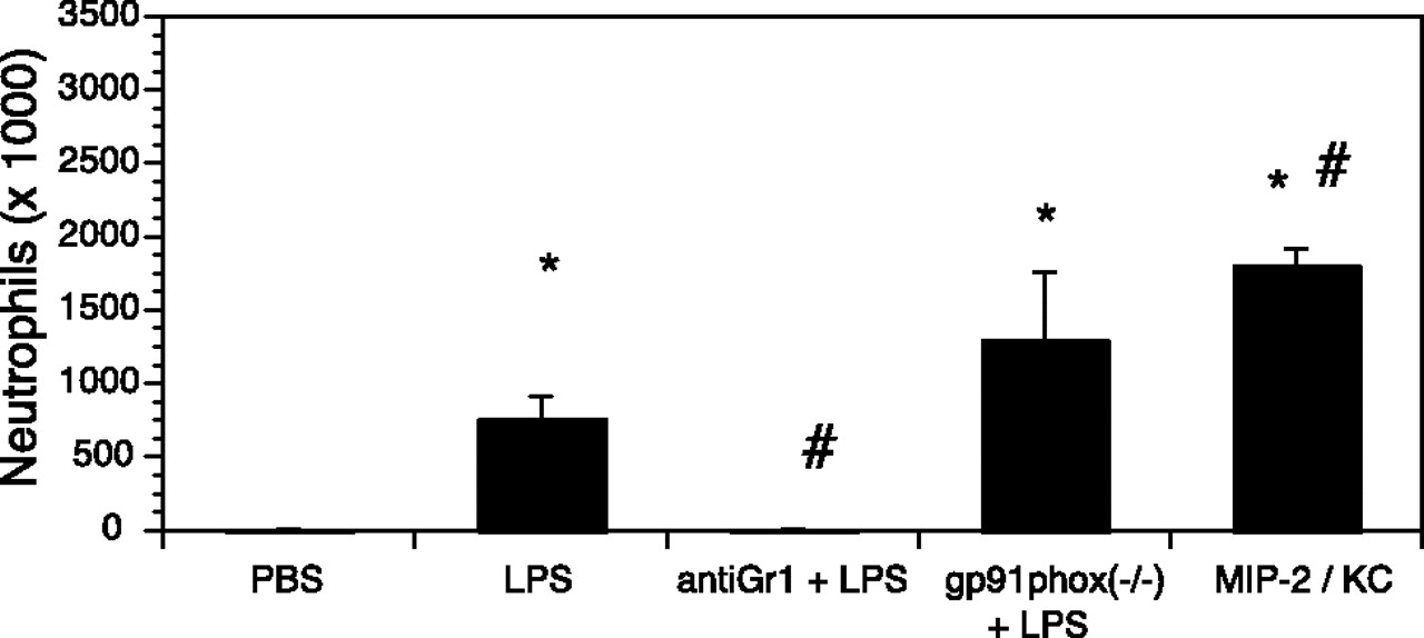 Neutrophil-mediated lung permeability and host defense proteins ...