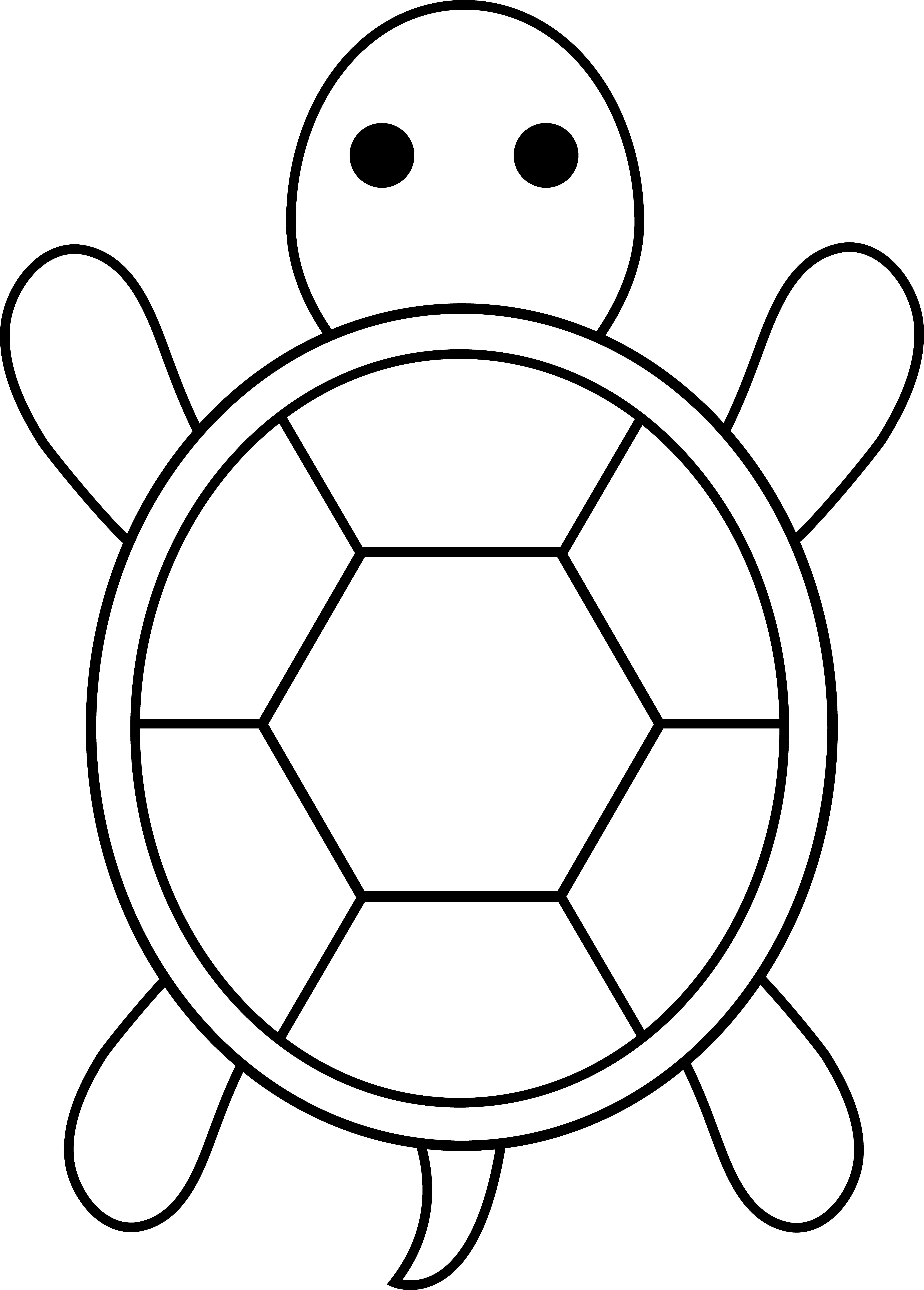 Turtle shell pattern clipart - ClipartFox