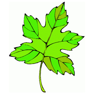 Free Leaves Clipart. Free Clipart Images, Graphics, Animated ...