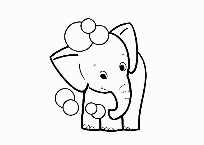 Elephant Drawings For Kids