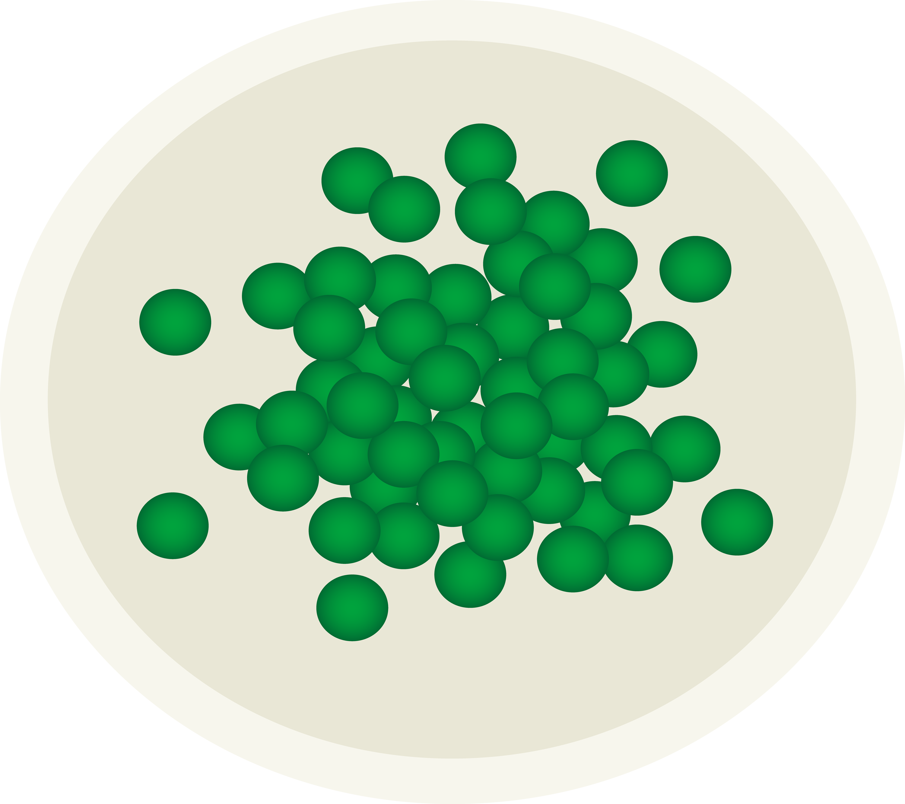 Pea 20clipart - Free Clipart Images