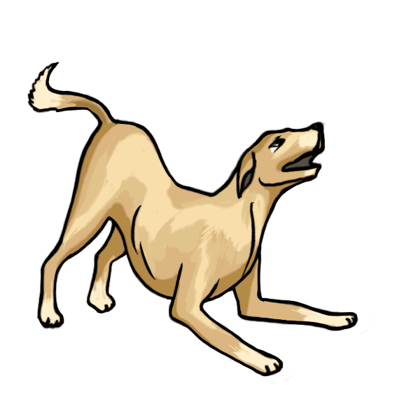 How to draw dogs step by step realistically for kids and grown-